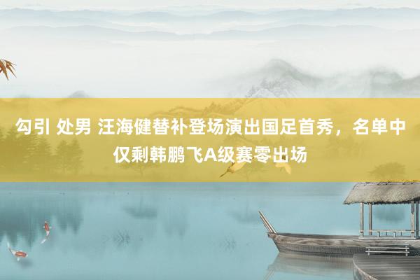 勾引 处男 汪海健替补登场演出国足首秀，名单中仅剩韩鹏飞A级赛零出场