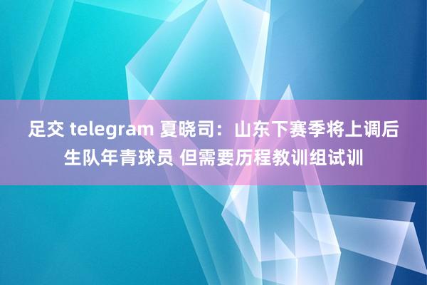 足交 telegram 夏晓司：山东下赛季将上调后生队年青球员 但需要历程教训组试训